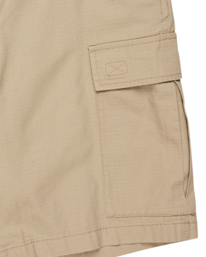 Legion 21" - Cargo Walkshorts for Men  ELYWS00137