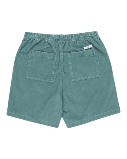 Solace 18.8" - Chino Shorts for Men  ELYWS00142