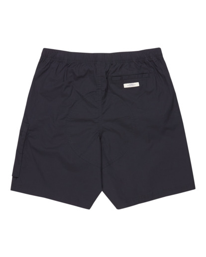 Chillin Travel 19" - Cargo Walkshorts for Men  ELYWS00147