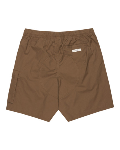 Chillin Travel 19" - Cargo Walkshorts for Men  ELYWS00147