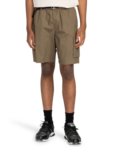 element, Chillin Travel 19" - Cargo-Shorts für Männer, STONE GRAY (cpn0) Chillin Travel 19" - Cargo Walkshorts for Men  ELYWS00147