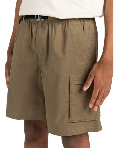 element, Chillin Travel 19" - Cargo-Shorts für Männer, STONE GRAY (cpn0) Chillin Travel 19" - Cargo Walkshorts for Men  ELYWS00147