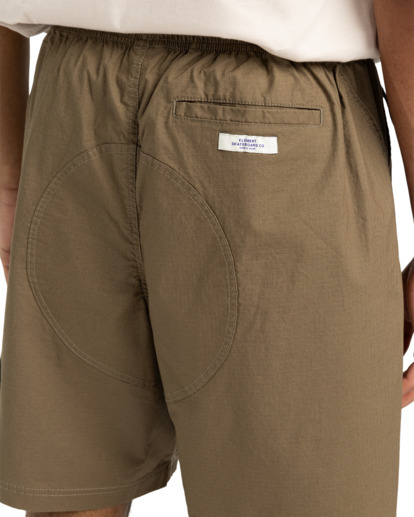 element, Chillin Travel 19" - Cargo-Shorts für Männer, STONE GRAY (cpn0) Chillin Travel 19" - Cargo Walkshorts for Men  ELYWS00147