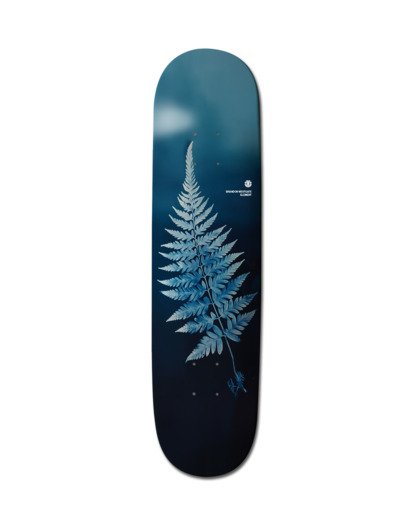 Aarnivalkea Brandon Westgate - Skateboard Deck  ELYXD00188