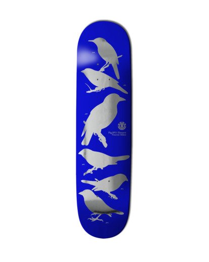 Ornithology Vincent Milou  ELYXD00243