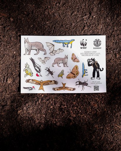 Spotted WWF  ELYXD00251