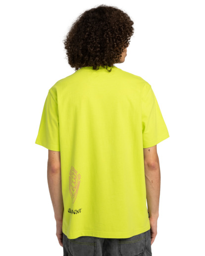 FFNC Stone - Short Sleeves T-Shirt for Men  ELYZT00525