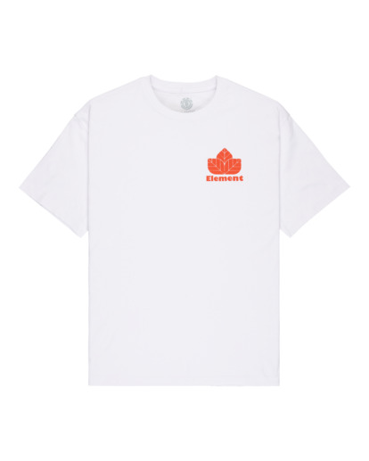 Sporting - Short Sleeve T-Shirt for Men  ELYZT00569