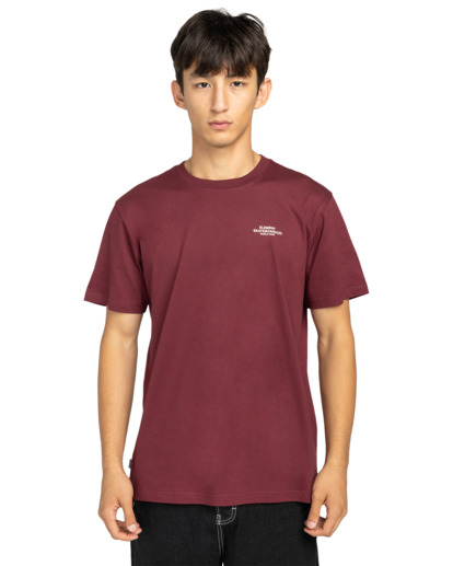 element, Element Co - T-Shirt à manches courtes pour Homme, ZINFANDEL (rss0) Element Co - Short Sleeve T-Shirt for Men  ELYZT00603