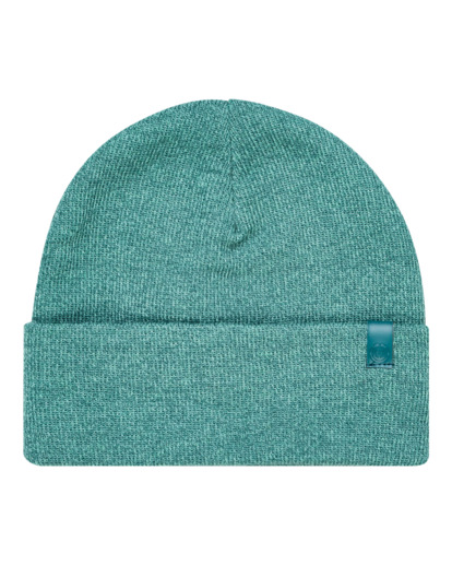 Carrier - Beanie for Men  F5BNC1ELF2