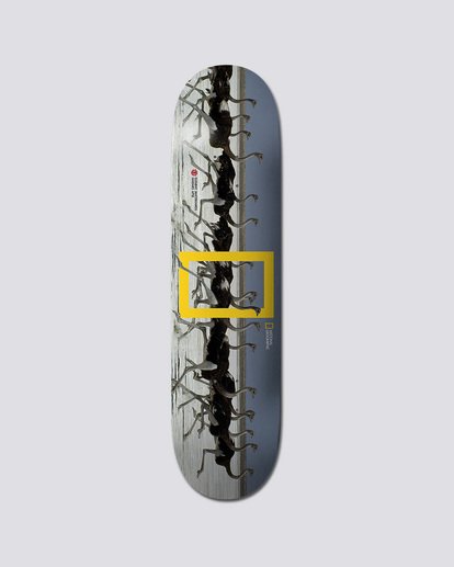 Nat Geo Madars Ostr - Deck  Q4DCA7ELF9