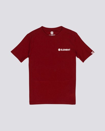 Blazin Chest - Short Sleeve T-Shirt for Boys  S2SSA2ELP0