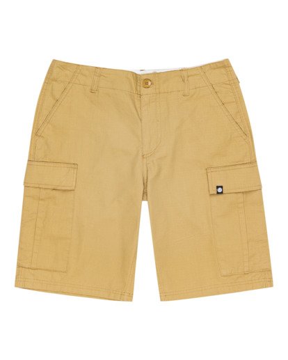 Legion 21" - Cargo Shorts for Men  W1WKC7ELP1