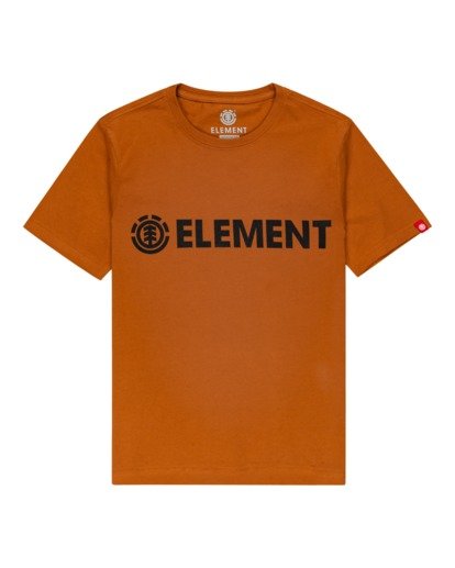 Blazin - T-Shirt for Boys  Z2SSC9ELF1