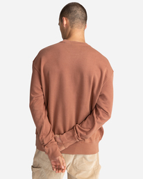 9 Cornell 3.0 - Felpa da Uomo Brown C1CRC1ELP2 Element