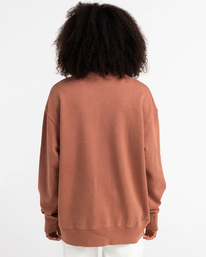 10 Cornell 3.0 - Felpa da Uomo Brown C1CRC1ELP2 Element