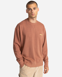 1 Cornell 3.0 - Felpa da Uomo Brown C1CRC1ELP2 Element