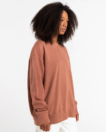 6 Cornell 3.0 - Felpa da Uomo Brown C1CRC1ELP2 Element
