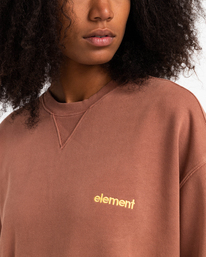 7 Cornell 3.0 - Felpa da Uomo Brown C1CRC1ELP2 Element