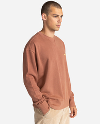 2 Cornell 3.0 - Felpa da Uomo Brown C1CRC1ELP2 Element