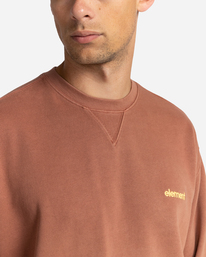 3 Cornell 3.0 - Felpa da Uomo Brown C1CRC1ELP2 Element