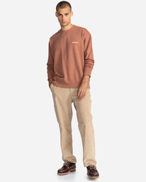 4 Cornell 3.0 - Felpa da Uomo Brown C1CRC1ELP2 Element