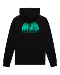 1 Hollis - Sudadera con capucha para Hombre  C1HOC9ELMU Element