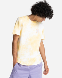 2 Seal Paint - T-shirt manches courtes pour Homme Jaune C1SSK6ELP2 Element