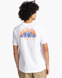 5 Hollis - Camiseta de manga corta para Hombre Blanco C1SSN3ELP2 Element