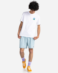 4 Renard - T-shirt manches courtes pour Homme Blanc C1SSN7ELP2 Element