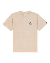 0 Groman - T-shirt manches courtes pour Homme Rouge C1SSO1ELP2 Element