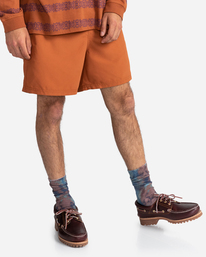 2 Canyon 18" - Hybrid Shorts for Men Brown C1WKC3ELP2 Element