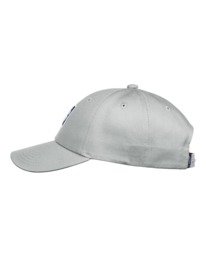 1 Tree logo - Casquette snapback pour Enfant 8-16 ans Gris C2CTB1ELP2 Element