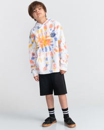 3 Seal Tie Dye - Hoodie for Boys 8-16 Orange C2HOB8ELP2 Element
