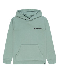 0 Blazin' Chest - Sweat à capuche pour Garçon 8-16 ans  C2HOC1ELP2 Element