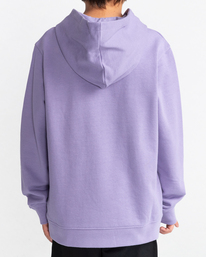3 Blazin' Chest - Sweat à capuche pour Garçon 8-16 ans Violet C2HOC1ELP2 Element