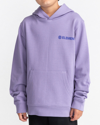 1 Blazin' Chest - Sweat à capuche pour Garçon 8-16 ans Violet C2HOC1ELP2 Element