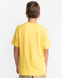 4 Basic Label - T-shirt manches courtes pour Garçon 8-16 ans Jaune C2SSD1ELP2 Element