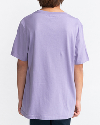 3 Blazin' Chest - Short Sleeve T-Shirt for Boys 8-16 Purple C2SSE1ELP2 Element