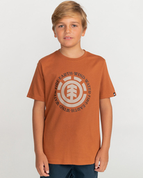 1 Seal - Short Sleeve T-Shirt for Boys 8-16 Brown C2SSE3ELP2 Element