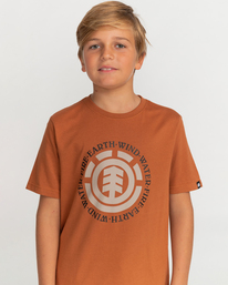 3 Seal - Short Sleeve T-Shirt for Boys 8-16 Brown C2SSE3ELP2 Element