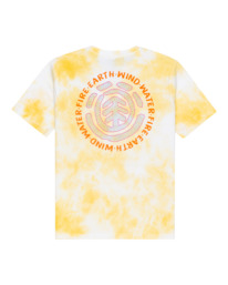 1 Seal Paint - T-Shirt für Jungen 8-16  C2SSF1ELP2 Element