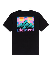 1 Kass - T-shirt manches courtes pour Garçon 8-16 ans Noir C2SSF3ELP2 Element
