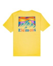 1 Kass - Short Sleeve T-Shirt for Boys 8-16 Yellow C2SSF3ELP2 Element