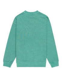 1 Cornell 3.1 - Sweat pour Garçon 8-16 ans Vert ELBFT00110 Element