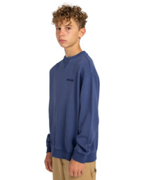 3 Cornell 3.1 - Sweat pour Garçon 8-16 ans Bleu ELBFT00110 Element