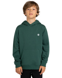 2 Cornell Classic - Sudadera con Capucha para Chicos 8-16 Verde ELBFT00113 Element