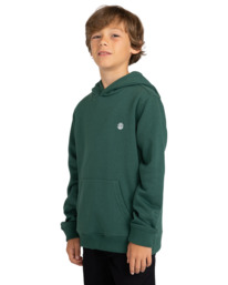 3 Cornell Classic - Sudadera con Capucha para Chicos 8-16 Verde ELBFT00113 Element