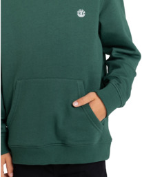 4 Cornell Classic - Sudadera con Capucha para Chicos 8-16 Verde ELBFT00113 Element