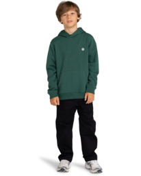 5 Cornell Classic - Sudadera con Capucha para Chicos 8-16 Verde ELBFT00113 Element